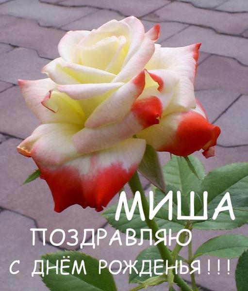Скачать Бесплатно Видео Поздравление Михаила