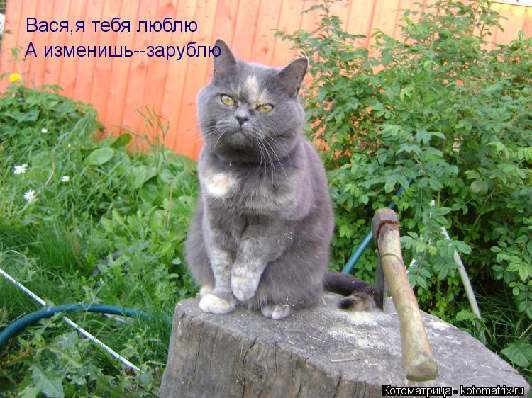 Картинки С Именем Вася