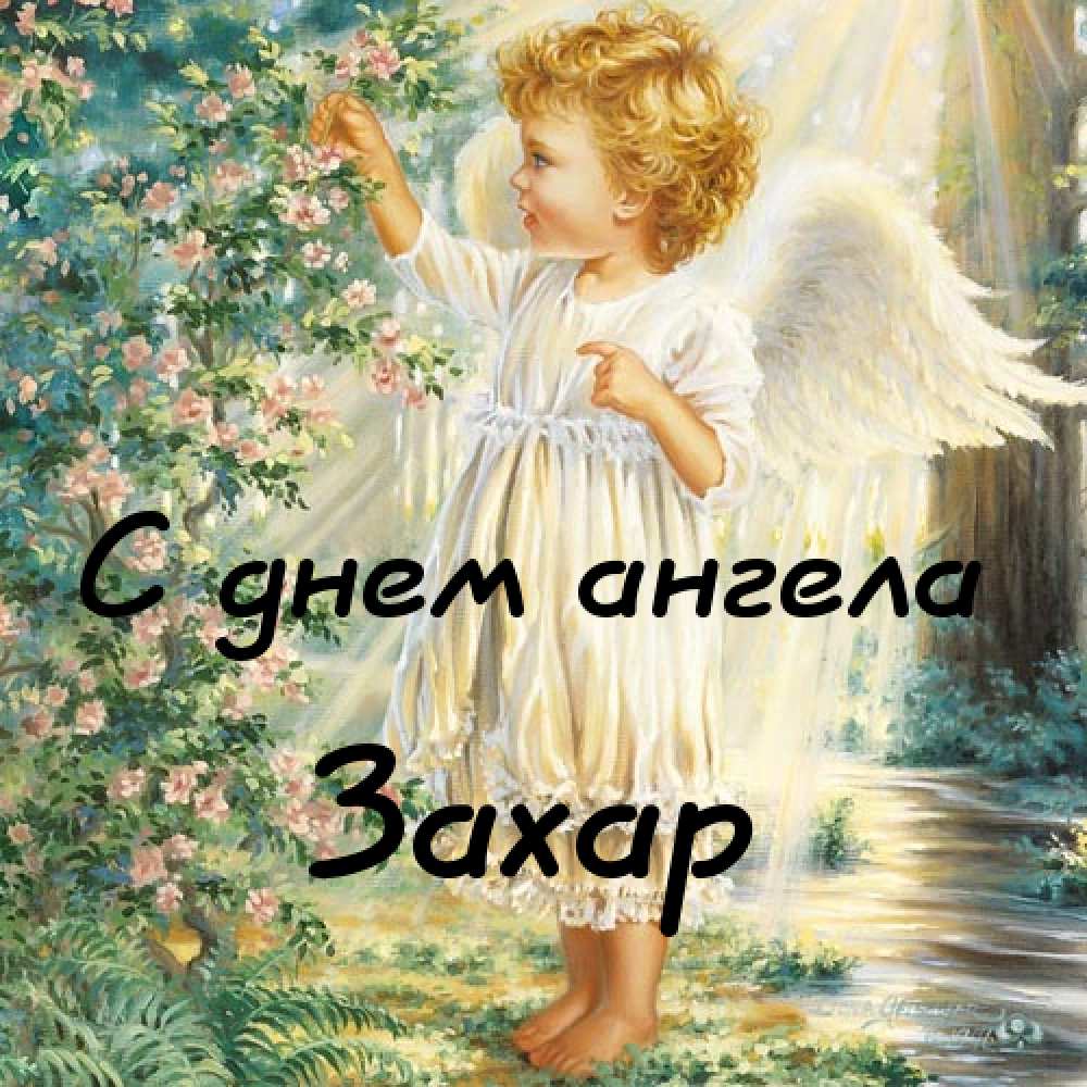 С Днем Рождения Захар Ребенок Поздравления