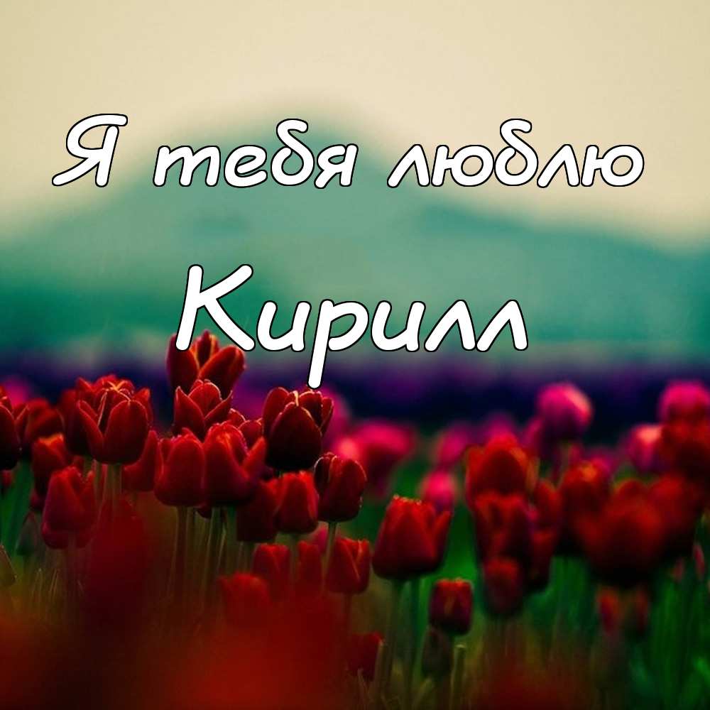 Видео Поздравление Кирилла Скачать