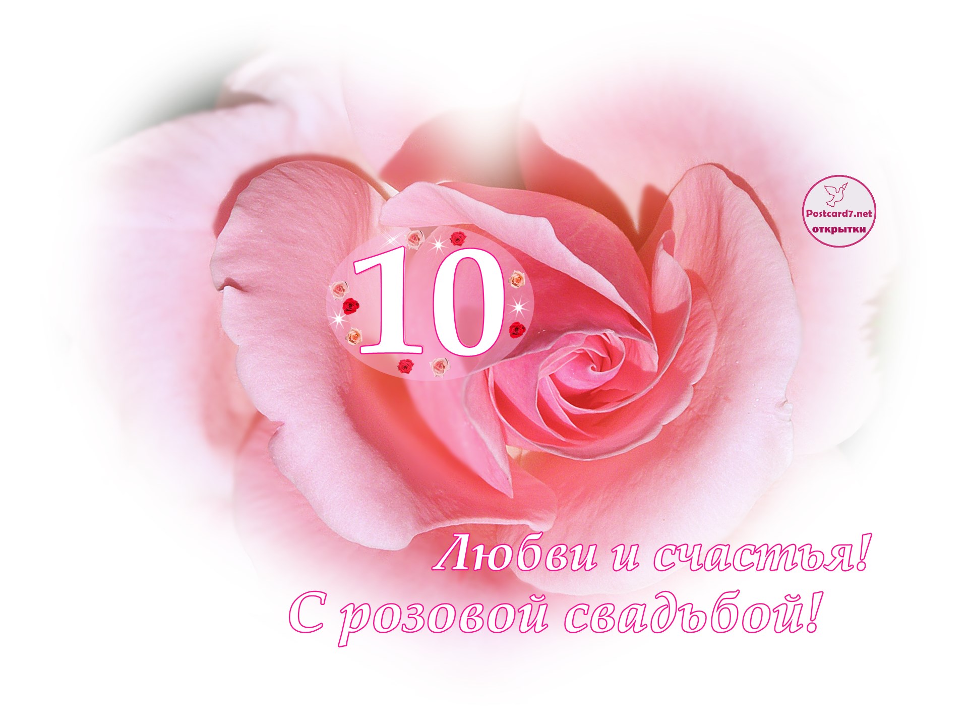 Поздравления С Розовой Свадьбой 10 Лет Картинки