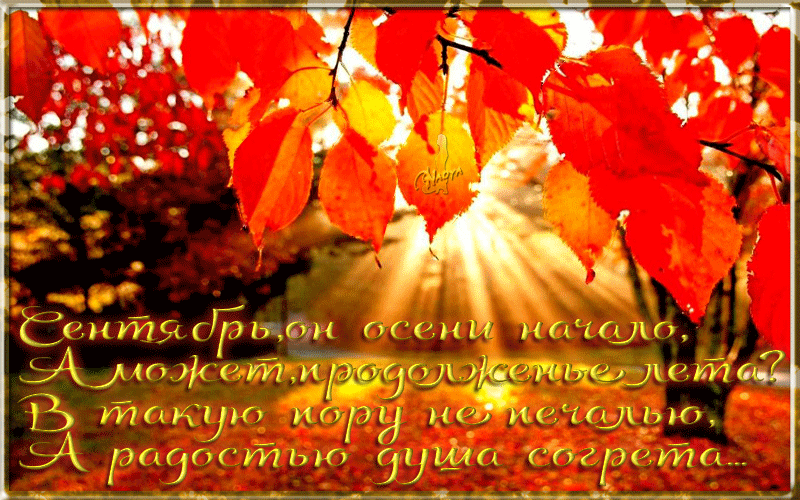 Поздравление Любимого С Осенью