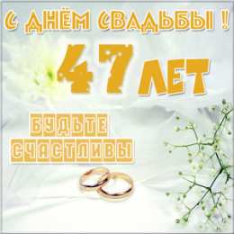 С Днем Свадьбы 47 Лет Поздравления