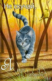 Веселые открытки с приколами не скучай скачать бесплатно.    