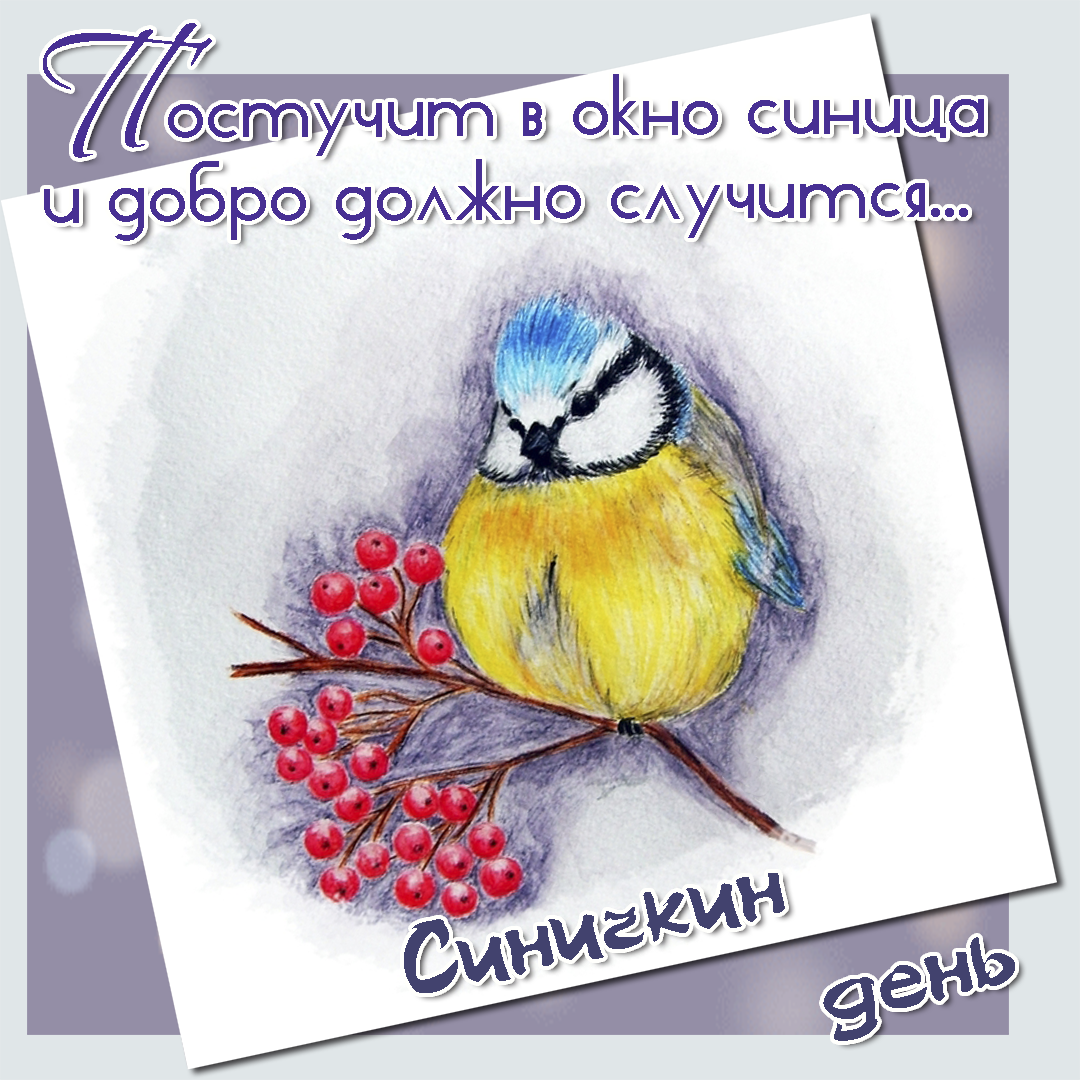 Красивые анимационные открытки на Синичкин день скачать бесплатно.