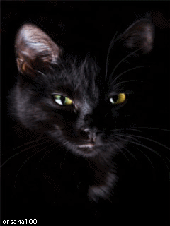 Разнообразные открытки на пятницу 13. Открытки с пятницей 13 скачать бесплатно.