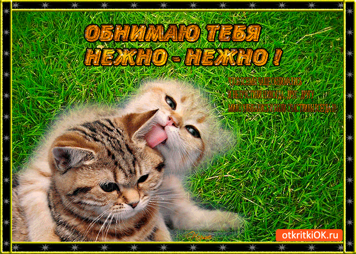 Открытки хочу тебя обнять. Открытки крепко обнимаю скачать бесплатно.