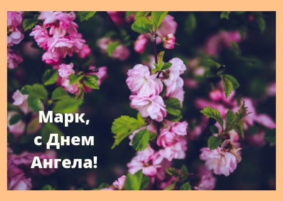 Открытки с именем Марк с признаниями. Открытки с именем Марк скачать бесплатно. 