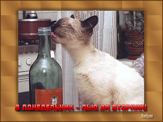 Открытки с наилучшими пожеланиями на понедельник. Открытки на понедельник ска...