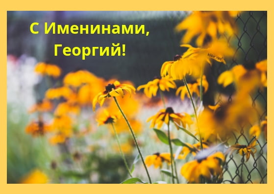 Анимационные открытки с именем Георгий. Скачать открытки с мужскими именами gif.