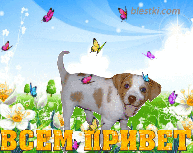 Красивые анимационные открытки с различными приветствиями скачать бесплатно.