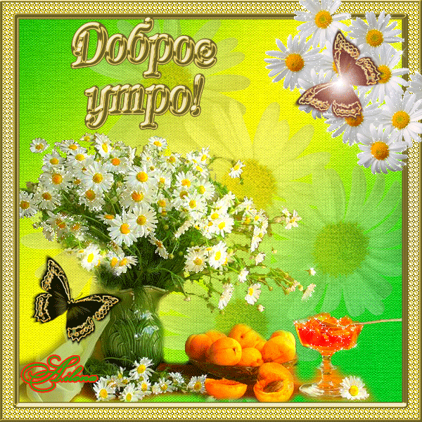 Мерцающие открытки с бабочками. Открытки с красивыми бабочками скачать беспла...