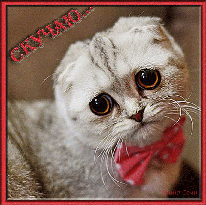 Анимационные открытки скучаю по тебе. Открытки я так скучаю скачать бесплатно.