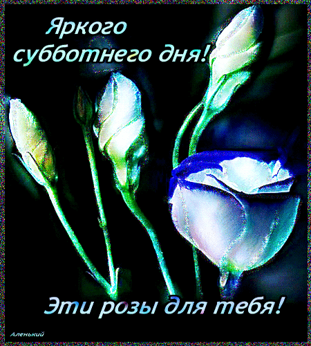 Интересные открытки на субботу. Веселые открытки на выходные.