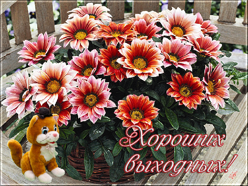 Красивые открытки замечательных выходных. Открытки хороших выходных скачать б...