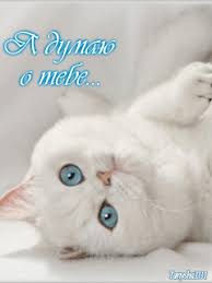 Анимационные открытки с признаниями. Открытки думаю о тебе gif.