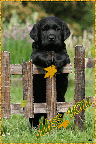 Анимационные открытки скучаю по тебе. Открытки я так скучаю скачать бесплатно.