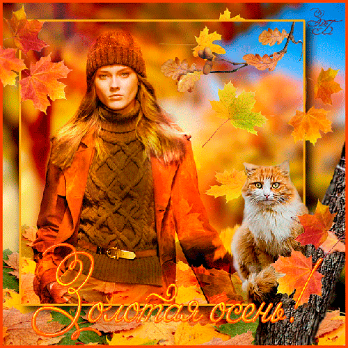Чудесные открытки на тему Золотая Осень скачать бесплатно gif.