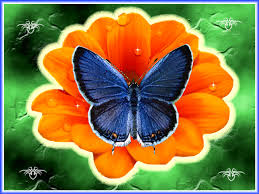 Открытки Мерцающие открытки с бабочками. Открытки с красивыми бабочками скачать бесплатно. Открытки с летающими бабочками. Мерцающие открытки с бабочками. Картинки бабочки на цветах. Открытки с красивыми бабочками скачать бесплатно. картинки бабочки в руках.