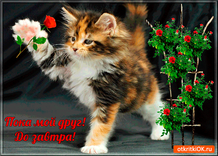 Бесплатные открытки с прощаниями. Открытки до скорой встречи скачать бесплатно.