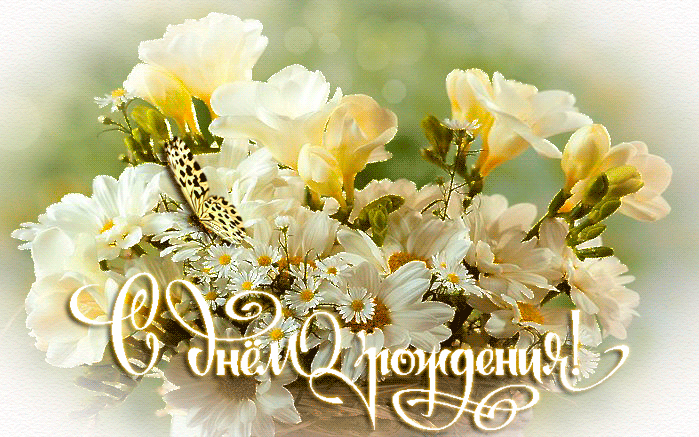 Мерцающие открытки с бабочками. Открытки с красивыми бабочками скачать беспла...