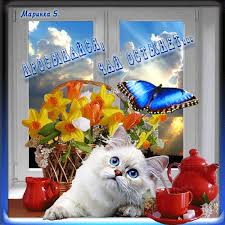 Открытка с пожеланиями доброго утра на каждый день скачать бесплатно 