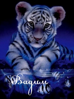 Открытки с мужскими именами. Поздравительные открытки с именем Вадим.