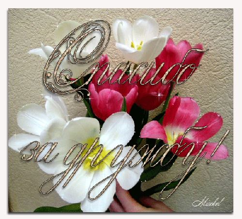 Красивые открытки для любимых друзей. Открытки о дружбе скачать бесплатно.