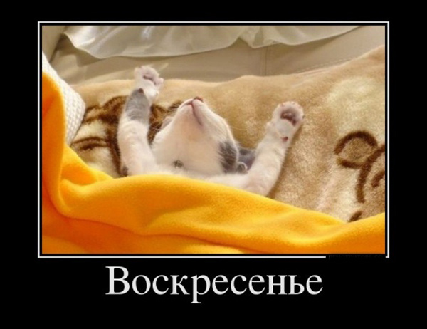 Мерцающие открытки про воскресенье. Открытки на воскресное утро.