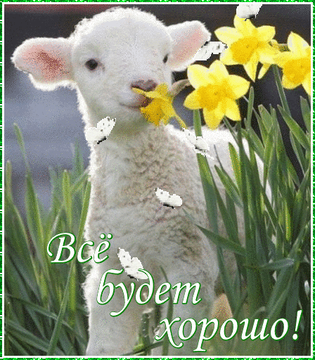 Мерцающие открытки с пожеланиями не грустить. Открытки не грусти скачать бесп...