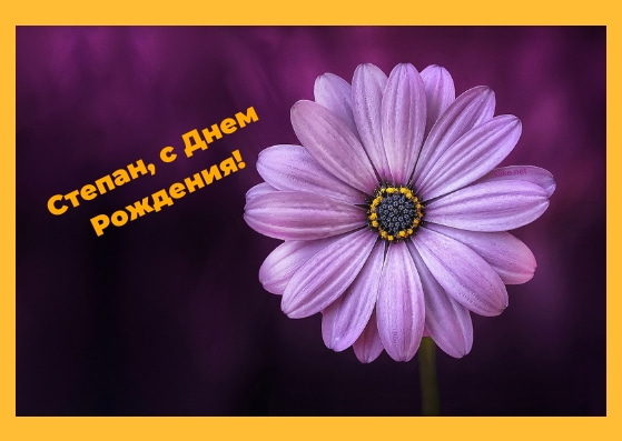 Открытки с мужскими именами. Открытки с именем Степан с поздравлениями. С днё...