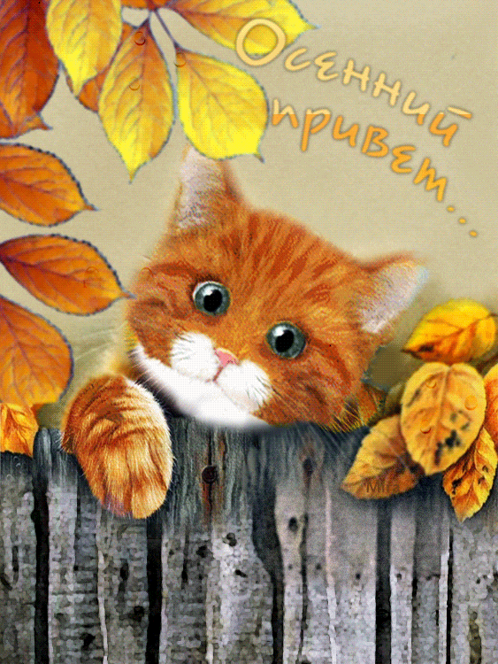 Красивые анимационные открытки с различными приветствиями скачать бесплатно.