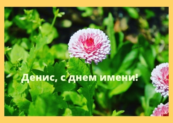 Открытки с днём рождения Денис. Прикольные Открытки с именем Денис. 