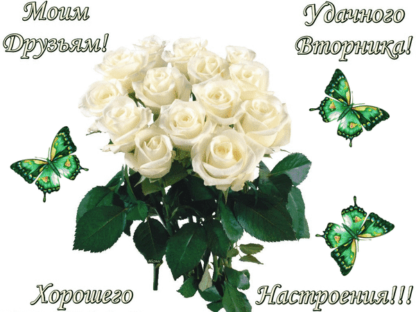 Позитивные открытки на вторник. Картинки про вторник скачать бесплатно.