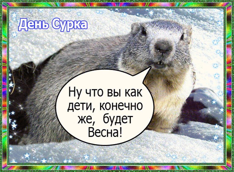 Веселые открытки с приколами на день сурка скачать бесплатно