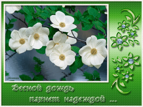 Красивые мерцающие открытки на весеннюю тематику. Скачать бесплатно открытки с весной.