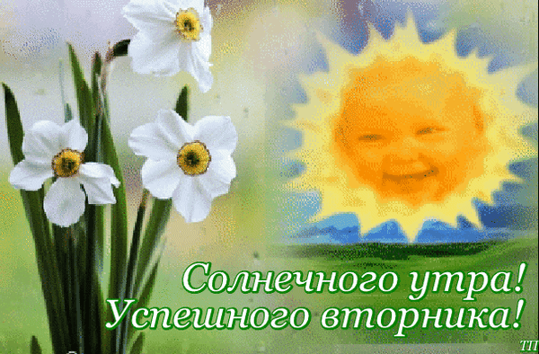 Позитивные открытки на вторник. Картинки про вторник скачать бесплатно.