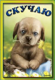 Анимационные открытки скучаю по тебе. Открытки я так скучаю скачать бесплатно.