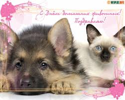 Добрые открытки на Всемирный день домашних животных скачать бесплатно.