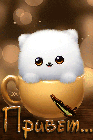 Красивые анимационные открытки с различными приветствиями скачать бесплатно.