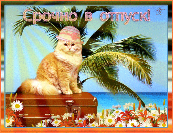 Открытки с пожеланиями хорошего отдыха. Красивые открытки отличного отпуска.