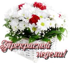 Забавные открытки с пожеланиями удачной недели. Открытки удачной недели скача...