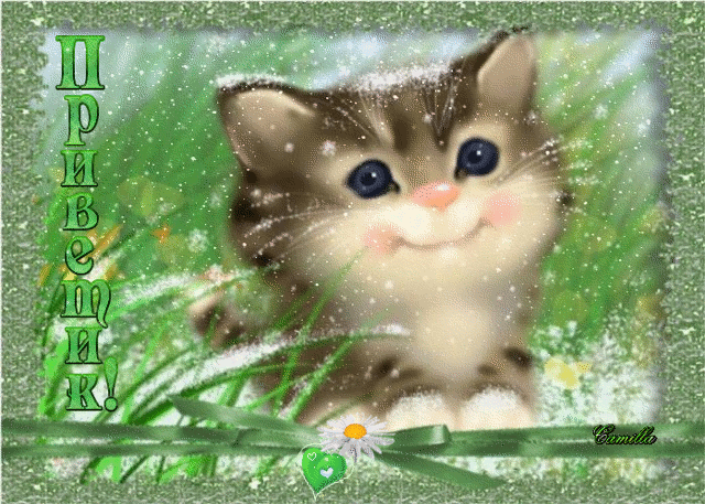 Красивые анимационные открытки с различными приветствиями скачать бесплатно.