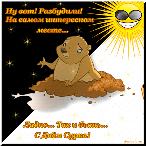 Веселые открытки с приколами на день сурка скачать бесплатно
