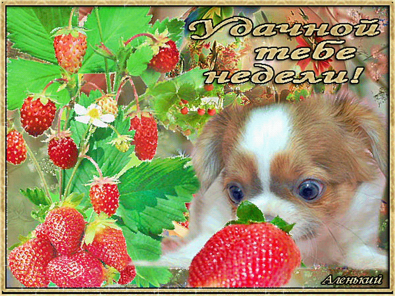 Забавные открытки с пожеланиями удачной недели. Открытки удачной недели скача...