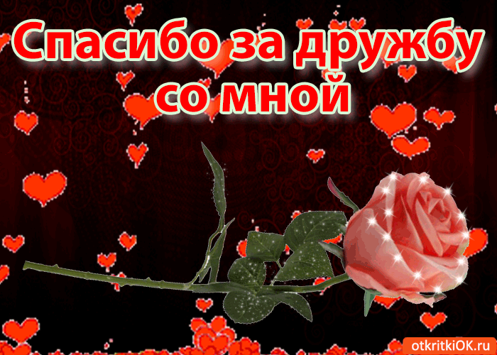 Красивые открытки для любимых друзей. Открытки о дружбе скачать бесплатно.