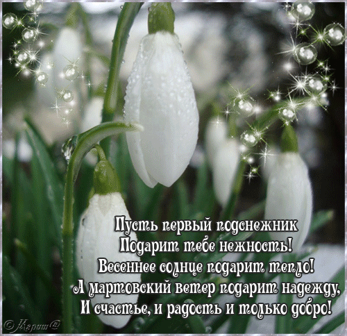 Красивые открытки с днем подснежника. Открытки с днем подснежников скачать бе...