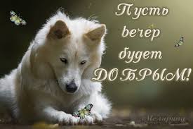 Анимационные открытки приятного вечера. Скачать бесплатно открытки хорошего в...