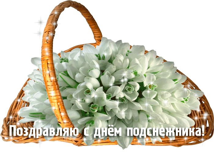 Красивые открытки с днем подснежника. Открытки с днем подснежников скачать бе...