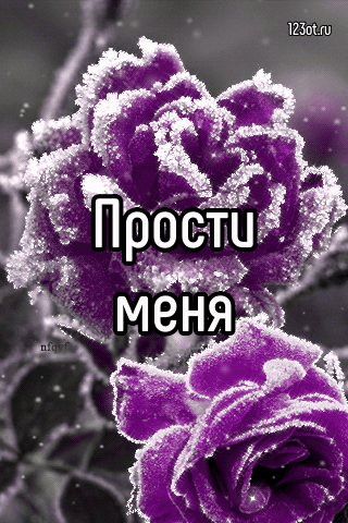 Красивые открытки с извинениями скачать бесплатно. Открытки прости меня gif.